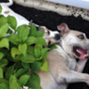 Meet your Posher, Toria